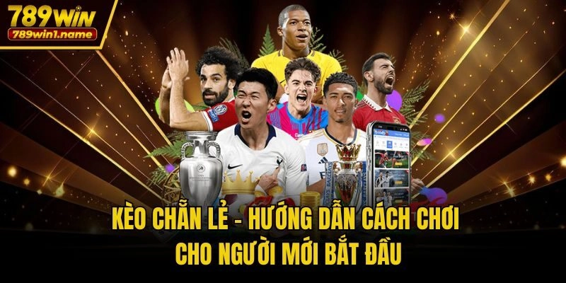 Kèo Chẵn Lẻ - Hướng Dẫn Cách Chơi Cho Người Mới Bắt Đầu